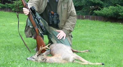 polen bukkejagt wolow maj 2020 konsulenter