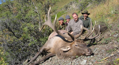 kasachstan maralhjort og kombination maralhjort og ibex 2019 konsulenter