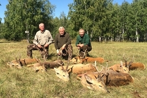 Sibirisk råbuk i Kasakhstan