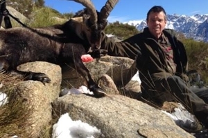 Spanien - Gredos Ibex