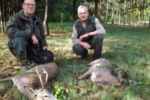 Polen - bukkejagt